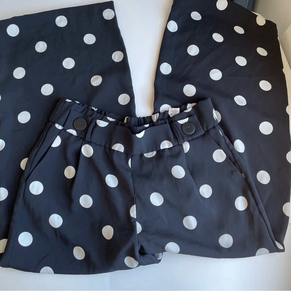 Zara Medium Polka Dot Pants